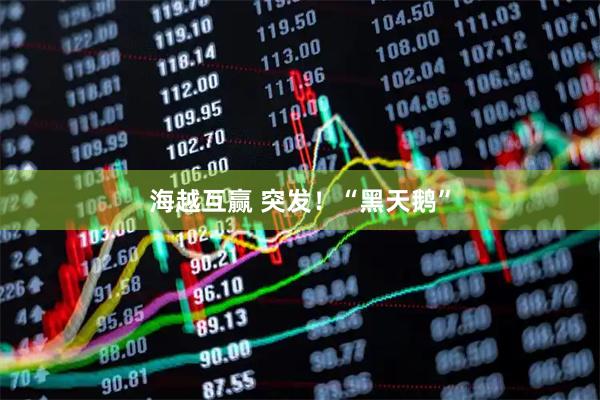 海越互赢 突发！“黑天鹅”