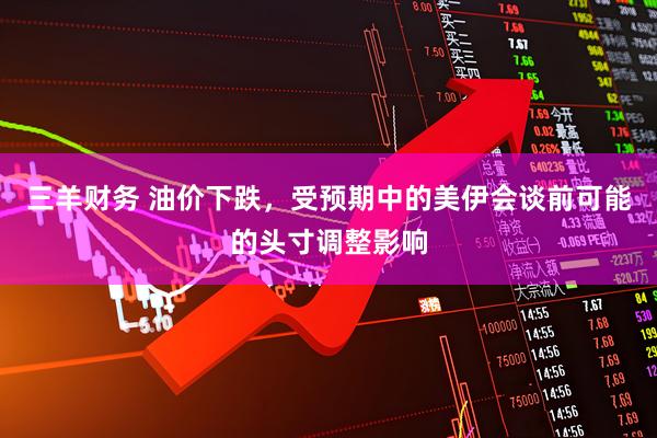 三羊财务 油价下跌，受预期中的美伊会谈前可能的头寸调整影响